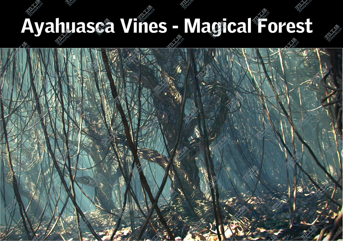 images/goods_img/2021040164/Ayahuasca Vines - Magical Forest/2.jpg